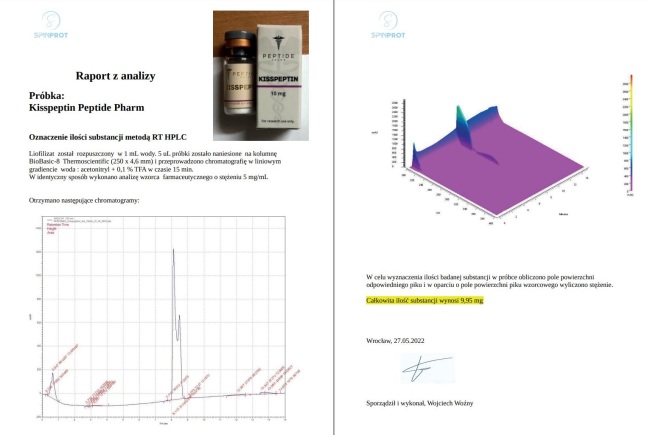 RAPORT_ANALIZY_KISSPEPTIN.jpg